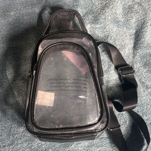 Sleek Black Transparent Belt Bag